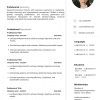 Executive Director ATS-Friendly CV & Cover Letter Template - Image 2