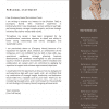 Professional CV & Cover Letter Canva Templates - Image 3