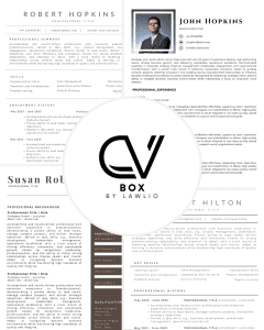 Avoid CV Mistakes with Lalio CV Templates