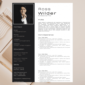 IT Professional Resume | CV & Cover Letter Templates