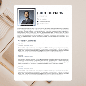 Senior Executive CV