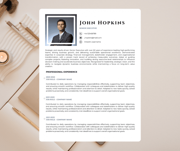 Senior Executive CV
