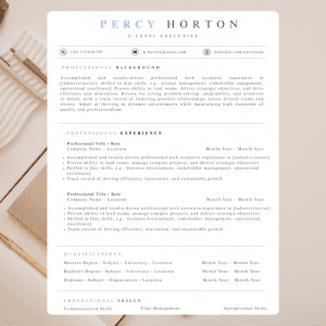 Executive Resume