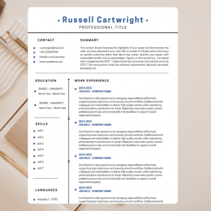 Professional UK CV Template