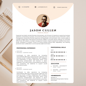 Financial Analyst CV